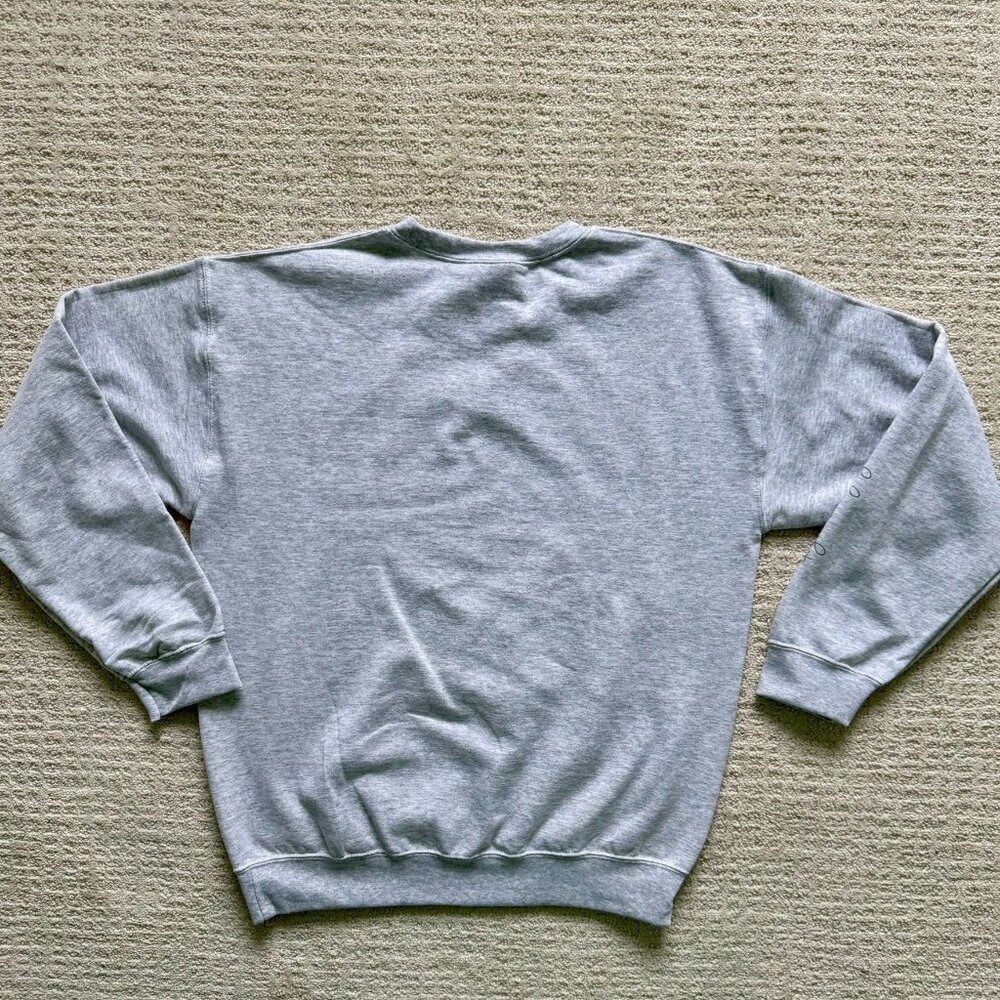 GILDAN | NWOT Gray Airplane Travel Sweatshirt Sz M - Picture 2 of 7